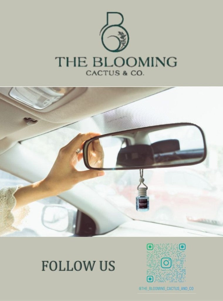Car Diffuser Refill | Mango & Coconut.